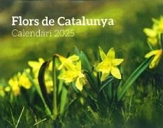 FLORS DE CATALUNYA CALENDARI 2025 | 8415001047992 | AA.DD. | Llibreria Drac - Librería de Olot | Comprar libros en catalán y castellano online