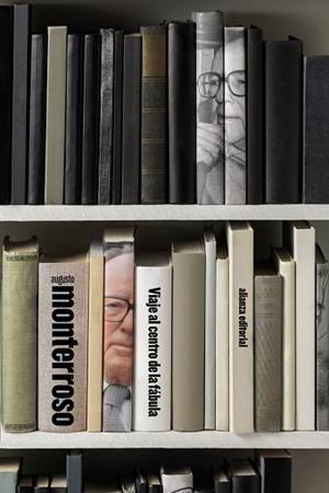 VIAJE AL CENTRO DE LA FÁBULA | 9788411487696 | MONTERROSO, AUGUSTO | Llibreria Drac - Llibreria d'Olot | Comprar llibres en català i castellà online