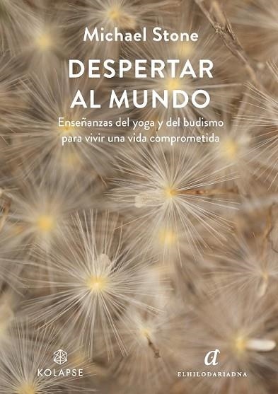 DESPERTAR AL MUNDO | 9788419741141 | STONE, MICHAEL | Llibreria Drac - Llibreria d'Olot | Comprar llibres en català i castellà online