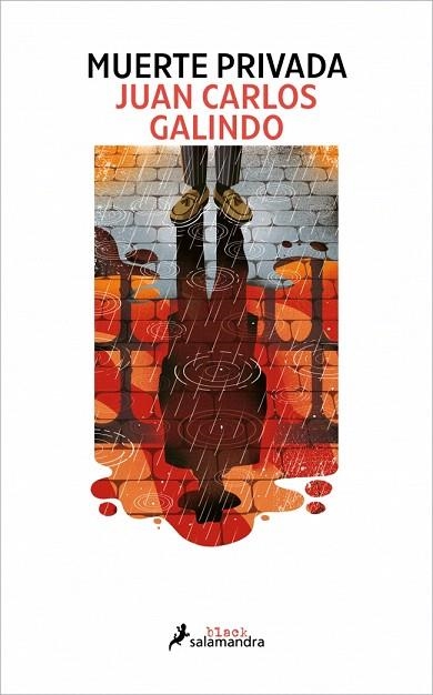 MUERTE PRIVADA (SEGOVIA NOIR 2) | 9788410340503 | GALINDO, JUAN CARLOS | Llibreria Drac - Librería de Olot | Comprar libros en catalán y castellano online