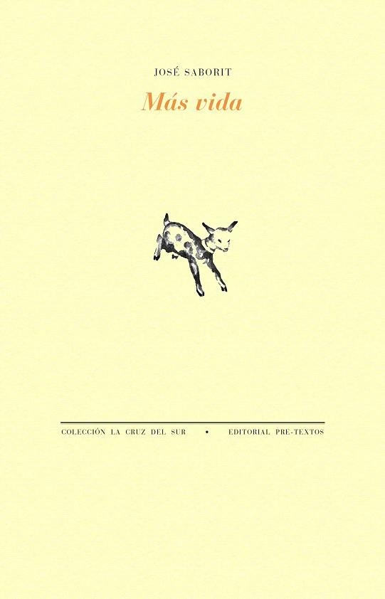 MÁS VIDA | 9788410309333 | SABORIT, JOSÉ | Llibreria Drac - Librería de Olot | Comprar libros en catalán y castellano online