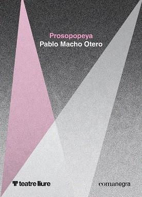 PROSOPOPEYA | 9788410161399 | MACHO OTERO, PABLO | Llibreria Drac - Librería de Olot | Comprar libros en catalán y castellano online