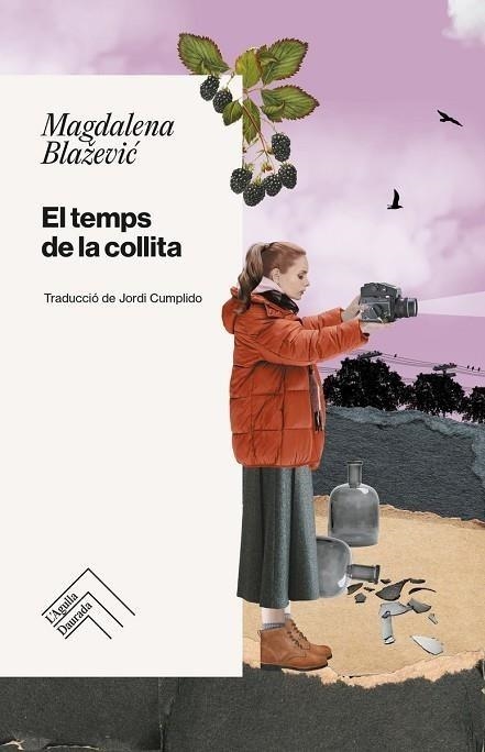 TEMPS DE LA COLLITA, EL | 9788419515223 | BLAZEVIC, MAGDALENA | Llibreria Drac - Librería de Olot | Comprar libros en catalán y castellano online