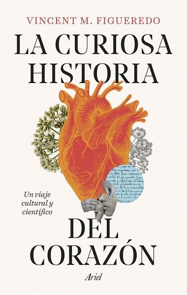 CURIOSA HISTORIA DEL CORAZÓN, LA | 9788434438392 | FIGUEREDO, VINCENT M. | Llibreria Drac - Librería de Olot | Comprar libros en catalán y castellano online