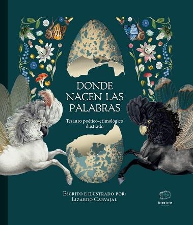 DONDE NACEN LAS PALABRAS | 9788418232749 | CARVAJAL, LIZARDO | Llibreria Drac - Librería de Olot | Comprar libros en catalán y castellano online