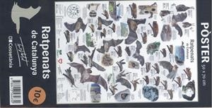 POSTER RATPENATS DE CATALUNYA | 9788413564630 | LLOBET, TONI | Llibreria Drac - Llibreria d'Olot | Comprar llibres en català i castellà online