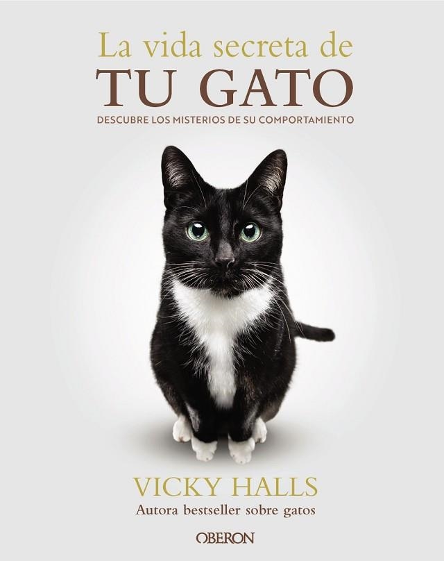 VIDA SECRETA DE TU GATO, LA | 9788441551183 | HALLS, VICKY | Llibreria Drac - Librería de Olot | Comprar libros en catalán y castellano online