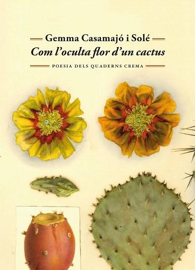 COM L'OCULTA FLOR D'UN CACTUS | 9788477277071 | CASAMAJÓ I SOLÉ, GEMMA | Llibreria Drac - Librería de Olot | Comprar libros en catalán y castellano online