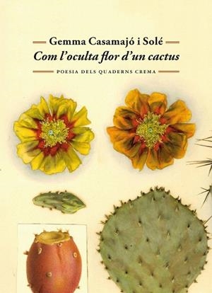 COM L'OCULTA FLOR D'UN CACTUS | 9788477277071 | CASAMAJÓ I SOLÉ, GEMMA | Llibreria Drac - Llibreria d'Olot | Comprar llibres en català i castellà online