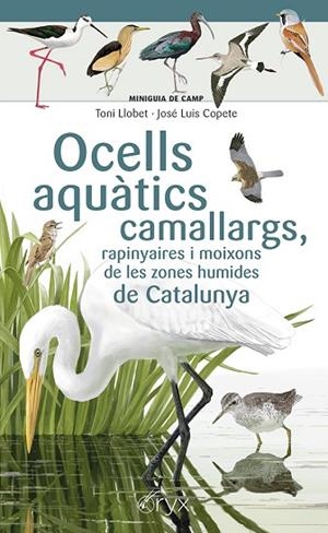 OCELLS AQUÀTICS CAMALLARGS RAPINYAIRES I MOIXONS DE LES ZONES HUMIDES DE CATALUNYA | 9788413564746 | COPETE, JOSÉ LUIS | Llibreria Drac - Librería de Olot | Comprar libros en catalán y castellano online