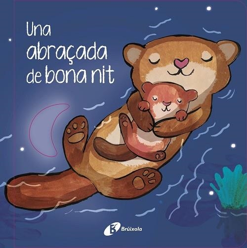 UNA ABRAÇADA DE BONA NIT | 9788413494319 | HEGARTY, PATRICIA | Llibreria Drac - Llibreria d'Olot | Comprar llibres en català i castellà online