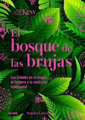 BOSQUE DE LAS BRUJAS | 9788410268272 | LAWRENCE, SANDRA | Llibreria Drac - Librería de Olot | Comprar libros en catalán y castellano online