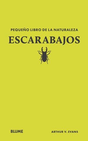 ESCARABAJOS (PEQUEÑO LIBRO DE LA NATURALEZA) | 9788410268739 | EVANS, ARTHUR V | Llibreria Drac - Llibreria d'Olot | Comprar llibres en català i castellà online