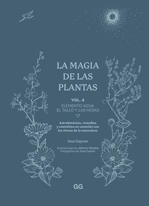 MAGIA DE LAS PLANTAS, LA ( VOL 4 ELEMENTO AGUA EL TALLO Y LAS HOJAS) | 9788425235641 | GAYOSO, ANA | Llibreria Drac - Llibreria d'Olot | Comprar llibres en català i castellà online