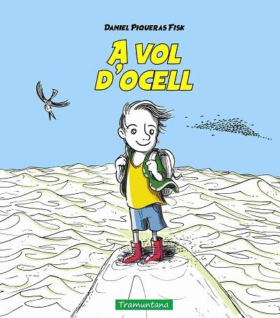 A VOL D'OCELL | 9788419829412 | PIQUERAS, DANIEL | Llibreria Drac - Librería de Olot | Comprar libros en catalán y castellano online