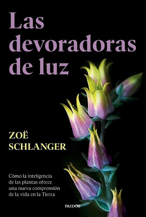 DEVORADORAS DE LUZ, LAS | 9788449343742 | SCHLANGER, ZOË | Llibreria Drac - Llibreria d'Olot | Comprar llibres en català i castellà online