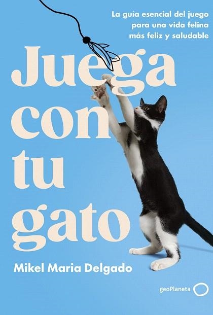 JUEGA CON TU GATO | 9788408300861 | DELGADO, MIKEL MARIA | Llibreria Drac - Librería de Olot | Comprar libros en catalán y castellano online