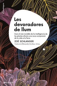 DEVORADORES DE LLUM, LES | 9788413564821 | SCHLANGER, ZOË | Llibreria Drac - Llibreria d'Olot | Comprar llibres en català i castellà online