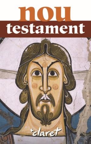 NOU TESTAMENT | 9788491360353 | SIDERA PLANA, JAUME | Llibreria Drac - Llibreria d'Olot | Comprar llibres en català i castellà online
