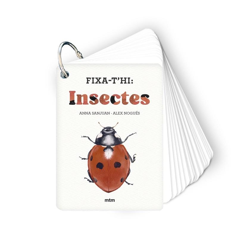 FIXA-T'HI INSECTES | 9788410407213 | SANJUAN LLORENS, ANNA; NOGUÉS OTERO, ALEX | Llibreria Drac - Librería de Olot | Comprar libros en catalán y castellano online