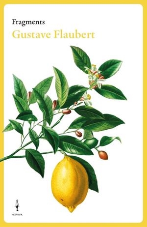 FRAGMENTS | 9788409684007 | FLAUBERT, GUSTAVE | Llibreria Drac - Llibreria d'Olot | Comprar llibres en català i castellà online