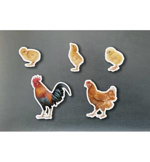 FAMILIA DE GALLINES MAGNETIC FAMILIES | 760412890964 | AA.DD. | Llibreria Drac - Llibreria d'Olot | Comprar llibres en català i castellà online