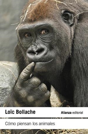 CÓMO PIENSAN LOS ANIMALES | 9788411489461 | BOLLACHE, LOÏC | Llibreria Drac - Llibreria d'Olot | Comprar llibres en català i castellà online