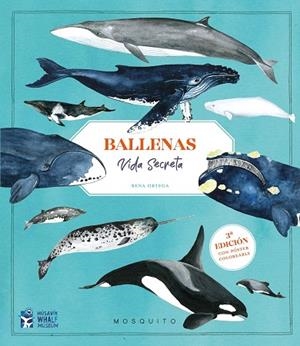 BALLENAS. VIDA SECRETA (+ PÓSTER) | 9788410417151 | ORTEGA, RENA | Llibreria Drac - Llibreria d'Olot | Comprar llibres en català i castellà online