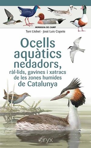 OCELLS AQUÀTICS NEDADORS, RÀL·LIDS, GAVINES I XATRACS DE LES ZONES HUMIDES DE CATALUNYA | 9788413564883 | COPETE, JOSÉ LUIS | Llibreria Drac - Llibreria d'Olot | Comprar llibres en català i castellà online