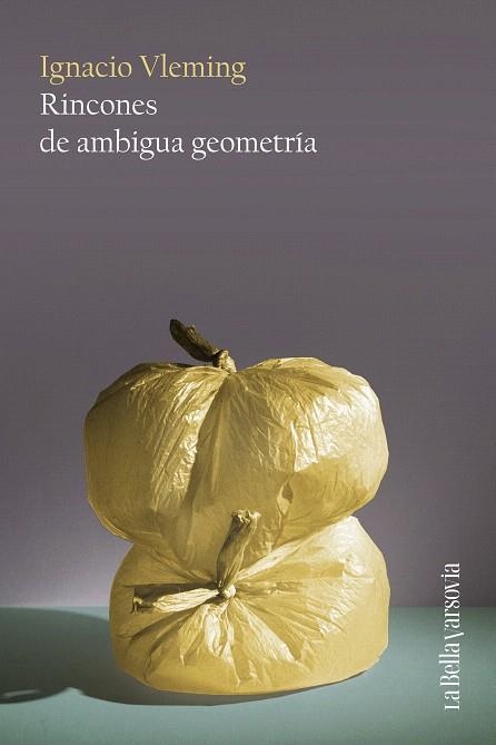 RINCONES DE AMBIGUA GEOMETRÍA | 9788433929402 | VLEMING, IGNACIO | Llibreria Drac - Librería de Olot | Comprar libros en catalán y castellano online