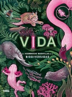 VIDA | 9786075840338 | SMITH, JENNIFER N. R. | Llibreria Drac - Llibreria d'Olot | Comprar llibres en català i castellà online