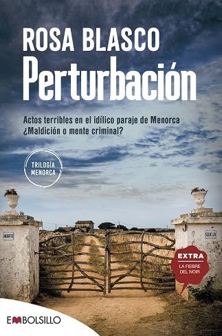PERTURBACIÓN | 9788418185847 | BLASCO, ROSA | Llibreria Drac - Librería de Olot | Comprar libros en catalán y castellano online