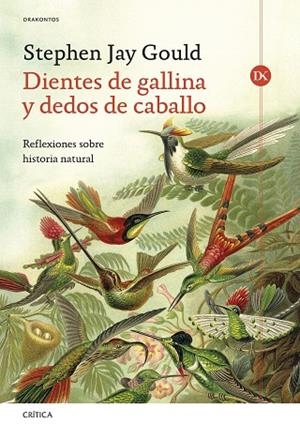 DIENTES DE GALLINA Y DEDOS DE CABALLO | 9788491997849 | GOULD, STEPHEN JAY | Llibreria Drac - Llibreria d'Olot | Comprar llibres en català i castellà online