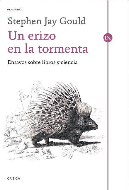 ERIZO EN LA TORMENTA, UN | 9788491997641 | GOULD, STEPHEN JAY | Llibreria Drac - Librería de Olot | Comprar libros en catalán y castellano online