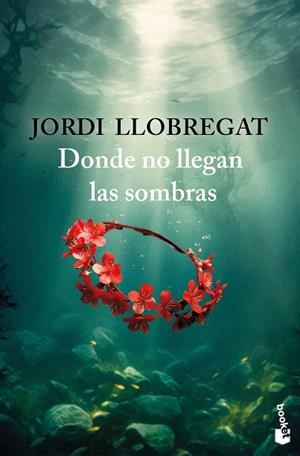 DONDE NO LLEGAN LAS SOMBRAS | 9788423367986 | LLOBREGAT, JORDI | Llibreria Drac - Llibreria d'Olot | Comprar llibres en català i castellà online