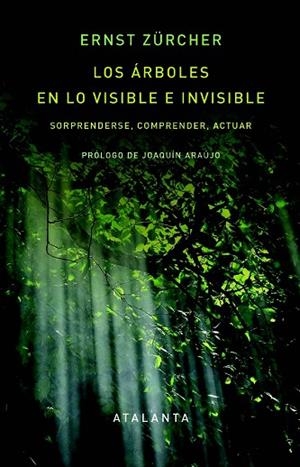 ÁRBOLES EN LO VISIBLE E INVISIBLE, LOS | 9788412842395 | ZURCHER, ERNST | Llibreria Drac - Llibreria d'Olot | Comprar llibres en català i castellà online