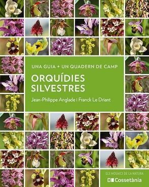 ORQUÍDIES SILVESTRES | 9788413564920 | ANGLADE, JEAN PHILIPPE; LE DRIANT, FRANCK | Llibreria Drac - Llibreria d'Olot | Comprar llibres en català i castellà online