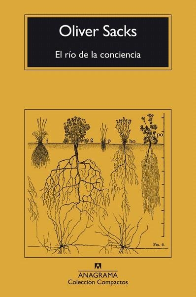 RÍO DE LA CONCIENCIA, EL | 9788433946867 | SACKS, OLIVER | Llibreria Drac - Llibreria d'Olot | Comprar llibres en català i castellà online