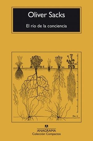RÍO DE LA CONCIENCIA, EL | 9788433946867 | SACKS, OLIVER | Llibreria Drac - Llibreria d'Olot | Comprar llibres en català i castellà online