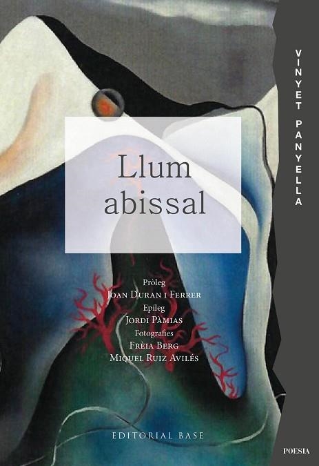 LLUM ABISSAL | 9791387728021 | PANYELLA, VINYET | Llibreria Drac - Librería de Olot | Comprar libros en catalán y castellano online