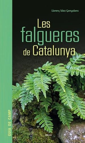 FALGUERES DE CATALUNYA, LES | 9791387701017 | SÁEZ, LLORENÇ | Llibreria Drac - Llibreria d'Olot | Comprar llibres en català i castellà online
