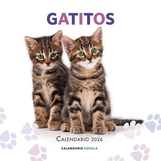 CALENDARIO GATITOS 2026 | 9788448044909 | AA.DD. | Llibreria Drac - Llibreria d'Olot | Comprar llibres en català i castellà online