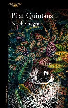 NOCHE NEGRA | 9788420477305 | QUINTANA, PILAR | Llibreria Drac - Llibreria d'Olot | Comprar llibres en català i castellà online