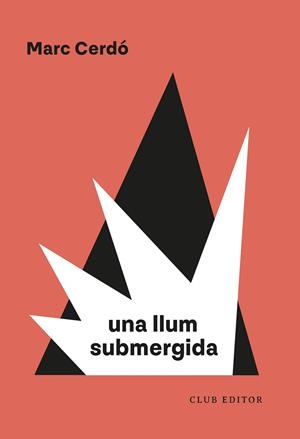 LLUM SUBMERGIDA, UNA | 9788473294751 | CERDÓ, MARC | Llibreria Drac - Llibreria d'Olot | Comprar llibres en català i castellà online