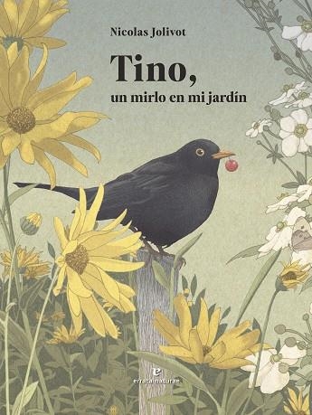 TINO, UN MIRLO EN MI JARDÍN | 9791387597160 | JOLIVOT, NICOLAS | Llibreria Drac - Llibreria d'Olot | Comprar llibres en català i castellà online