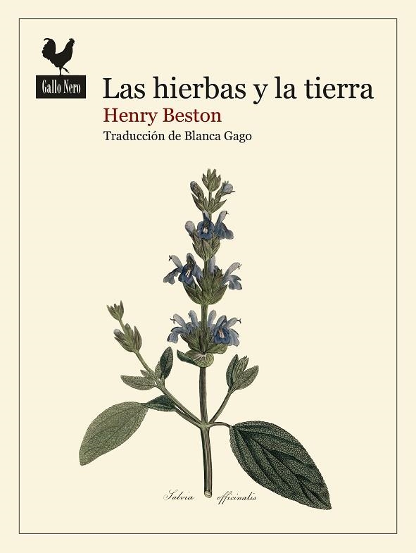HIERBAS Y LA TIERRA, LAS | 9788419168740 | BESTON, HENRY | Llibreria Drac - Librería de Olot | Comprar libros en catalán y castellano online