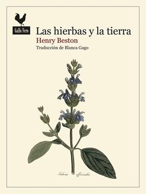 HIERBAS Y LA TIERRA, LAS | 9788419168740 | BESTON, HENRY | Llibreria Drac - Llibreria d'Olot | Comprar llibres en català i castellà online