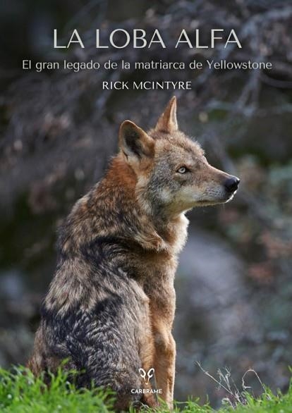 LOBA ALFA, LA | 9788412949001 | MCINTYRE, RICK | Llibreria Drac - Llibreria d'Olot | Comprar llibres en català i castellà online