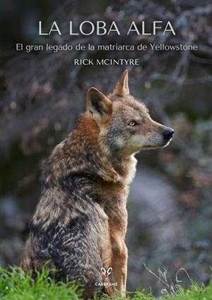 LOBA ALFA, LA | 9788412949001 | MCINTYRE, RICK | Llibreria Drac - Librería de Olot | Comprar libros en catalán y castellano online