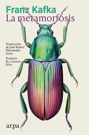 METAMORFOSIS, LA | 9791387833138 | KAFKA, FRANZ | Llibreria Drac - Llibreria d'Olot | Comprar llibres en català i castellà online